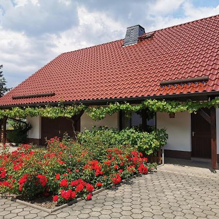 Ferienhaus Rosenhof Glaubitz Екстер'єр фото