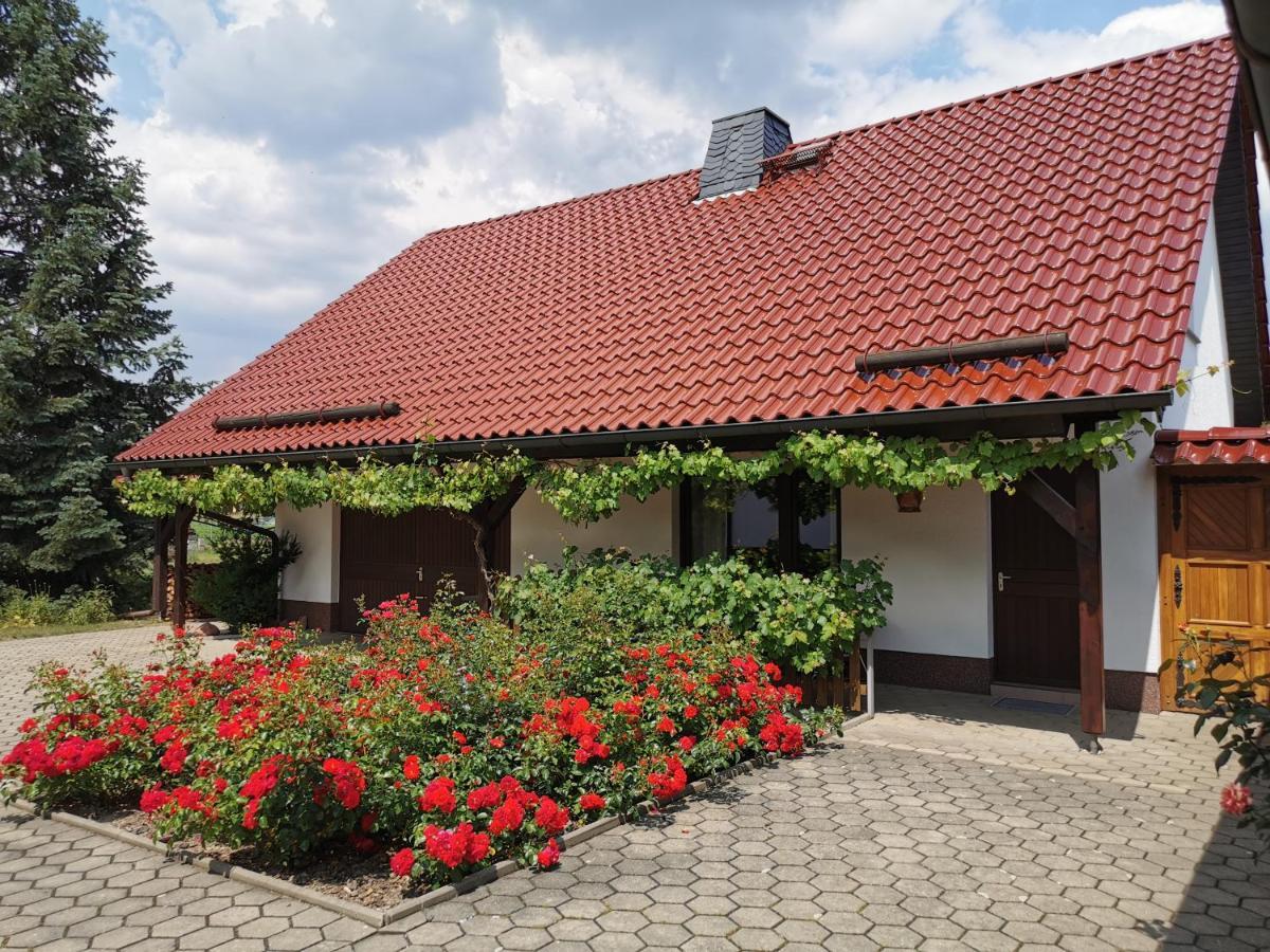 Ferienhaus Rosenhof Glaubitz Екстер'єр фото