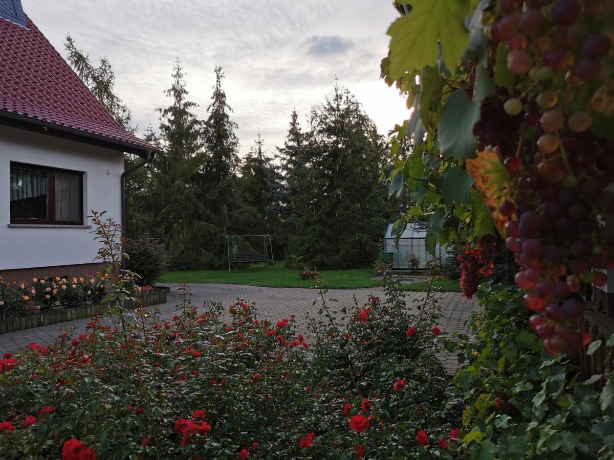 Ferienhaus Rosenhof Glaubitz Екстер'єр фото