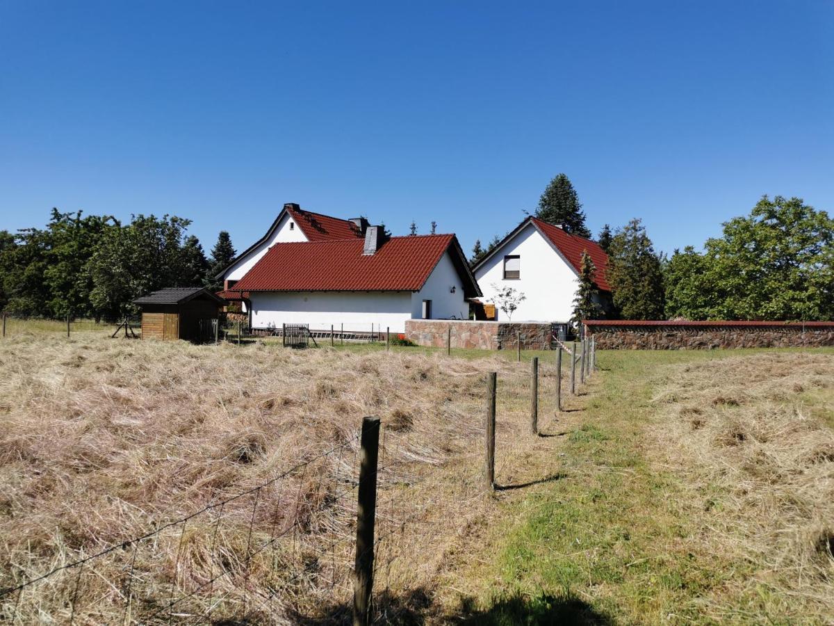 Ferienhaus Rosenhof Glaubitz Екстер'єр фото