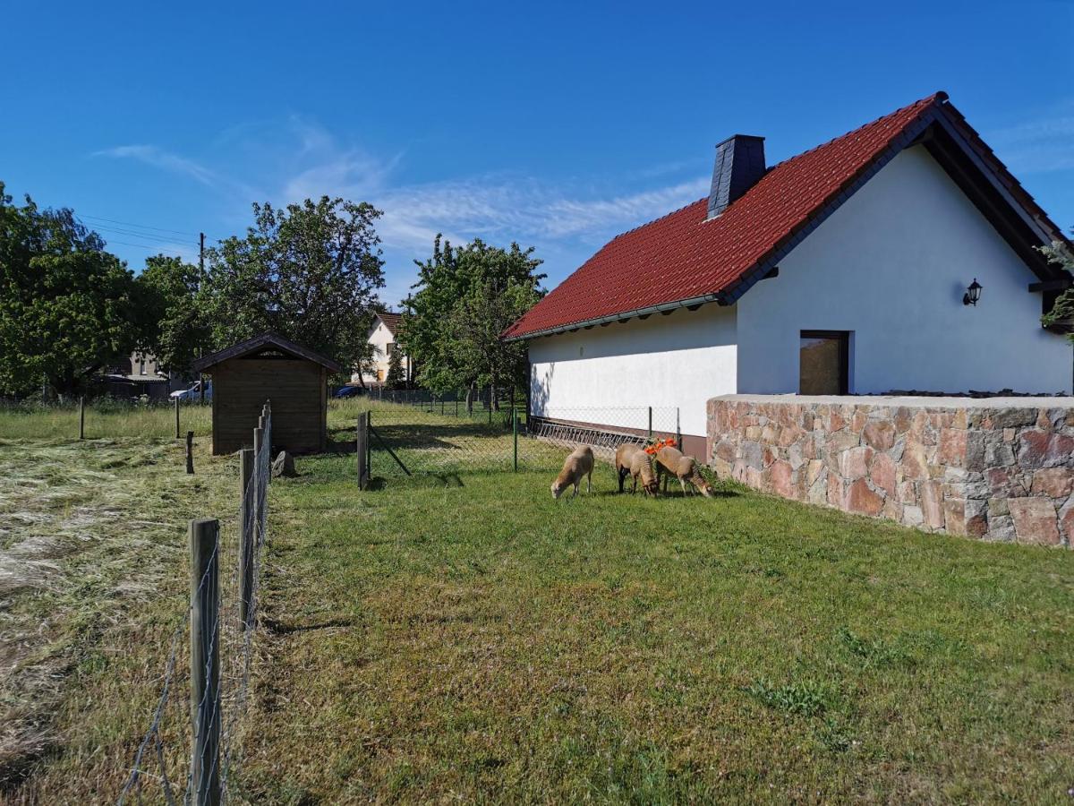 Ferienhaus Rosenhof Glaubitz Екстер'єр фото